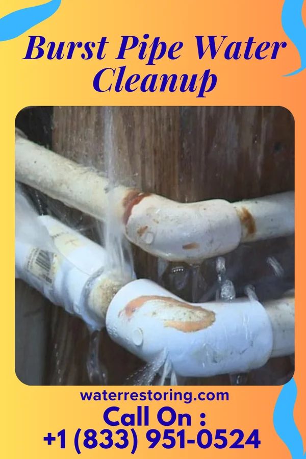 Burst Pipe Water Cleanup in Belmont, WV
