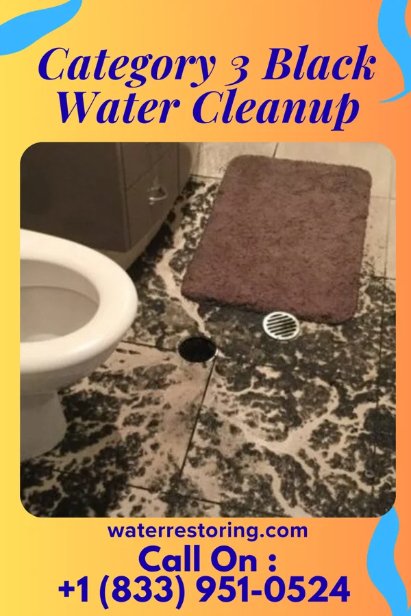 Category 3 Black Water Cleanup in Belmont, WV