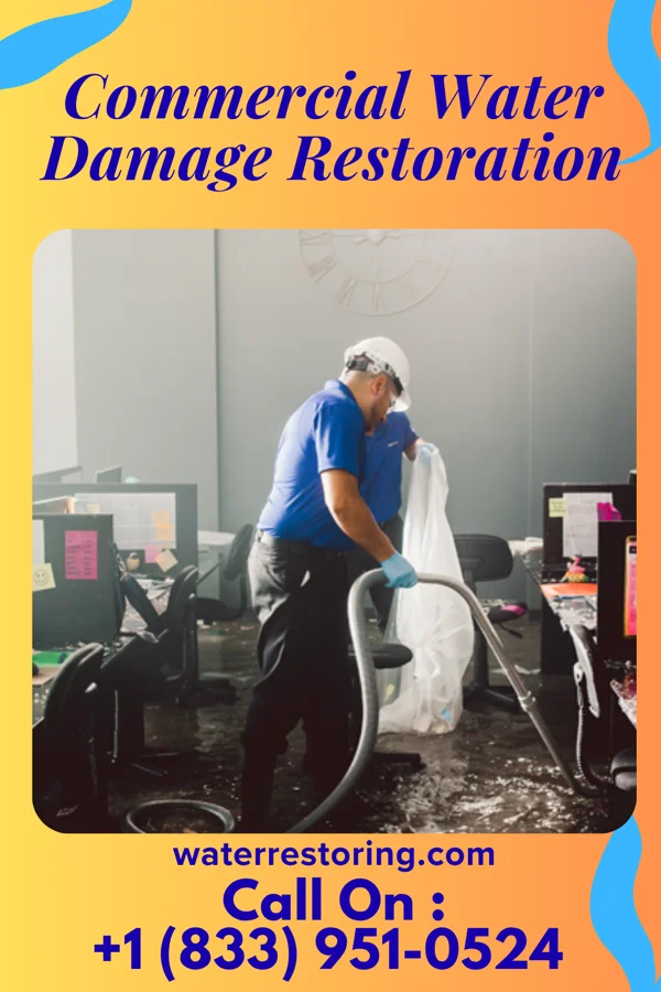 Commercial Water Damage Restoration in Belmont, WV