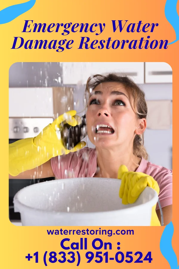 Emergency Water Damage Restoration in Belmont, WV