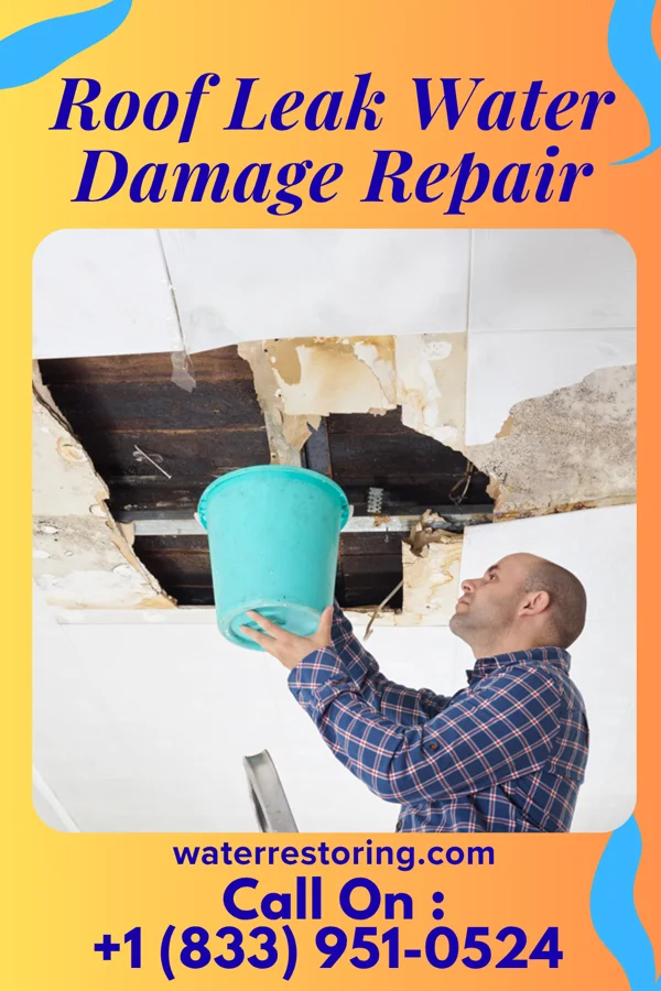 Roof Leak Water Damage Repair in Belmont, WV