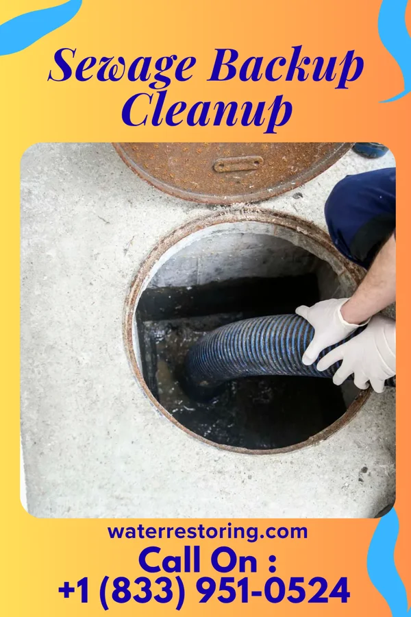 Sewage Backup Cleanup in Belmont, WV
